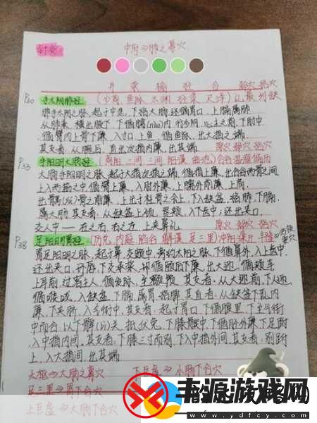 烟雨江湖经络学-提升实力与探索之旅