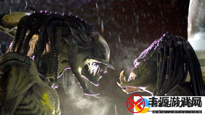 异形大战铁血战士或续开发-负责人展望新篇