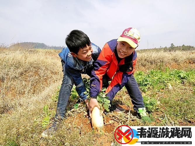 “拔萝卜双人”网友热议:科技界的诡异狂想曲