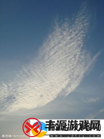 解析