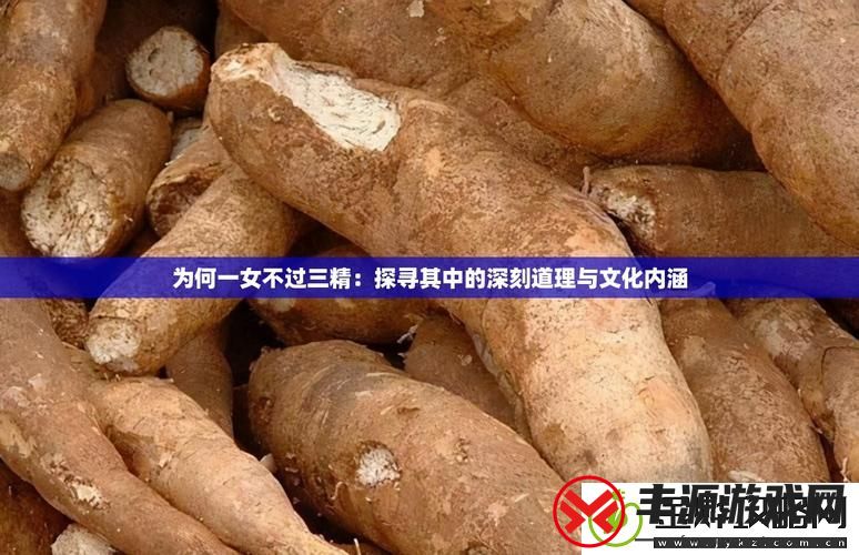 一女不过三精:探索女性力量的多重维度:解锁独特美味新秘籍