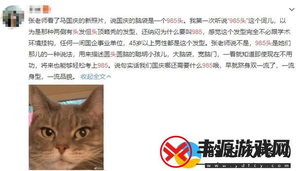 985头意思、含义、出处介绍:神秘任务全解锁策略康乐攻略