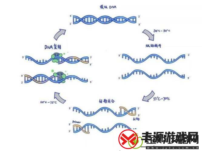DNA-非特异性杂交:原理与应用探究