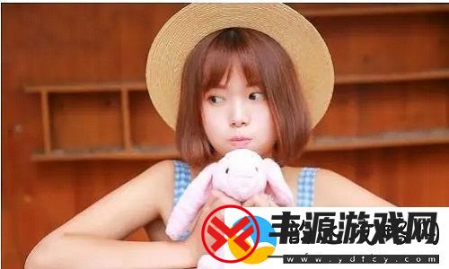 韩国理论大全:深入解读韩国文化与社会-推动全球学术交流!!
