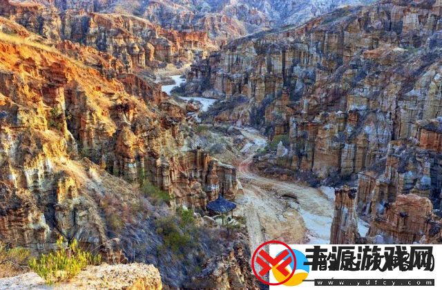 ‘原始蛮荒’的象征意义