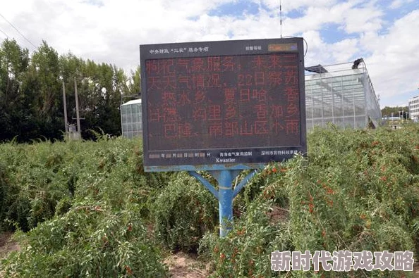 清晨紧湿h:最新动态显示气象局发布了关于早晨湿度变化的详细报告引发广泛关注与讨论