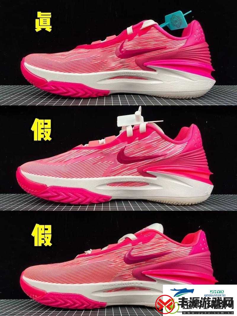 非洲-Zoom-与-Zoom:性能对比大揭秘哪个更胜一筹