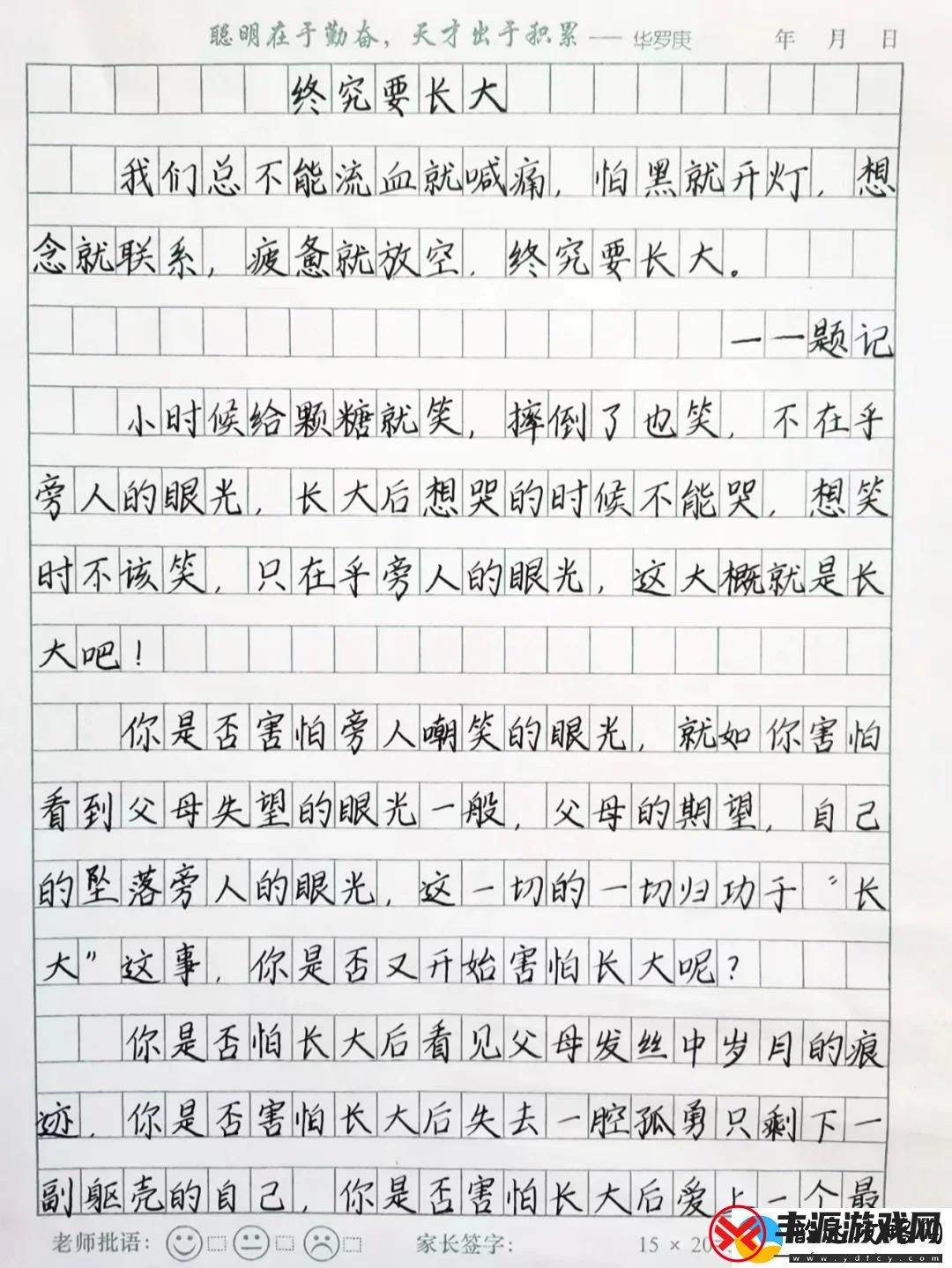 长大认证新风向:科技视角下的俏皮审视