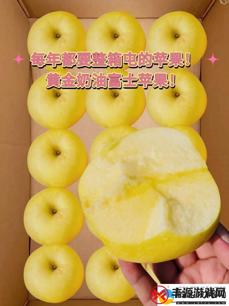 新探索C7C7.ccm的无限潜力与应用