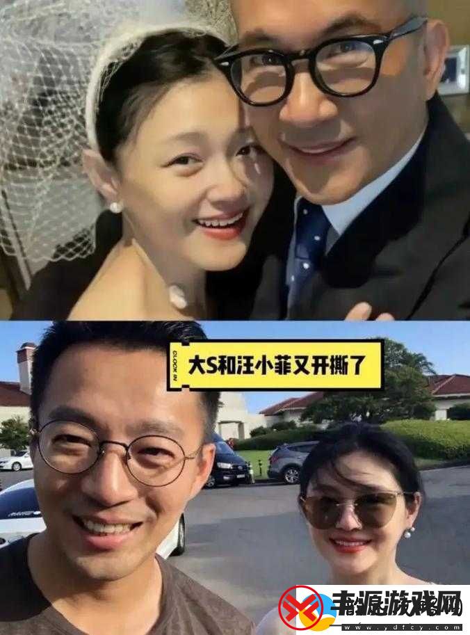 汪小菲大-S-离婚事件:一地鸡毛