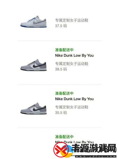 成品网站-NIKE-源码-168-技术解析:深度剖析