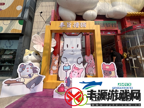 猫咪和汤×宫猫体验馆
