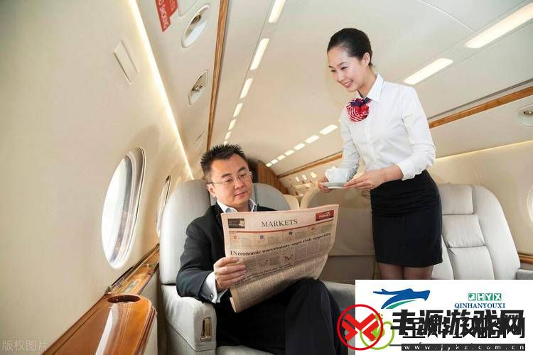 头等舱客服的特殊待遇2中字:航空服务的极致体验游戏玩法