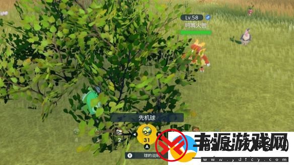 宝可梦朱紫巨蛋限定对战任务攻略