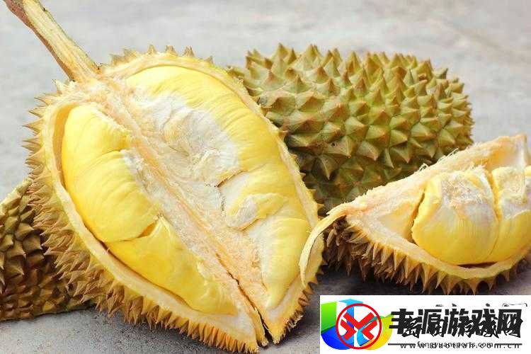 榴莲官方iOS版下载安装指南:独特应用体验与功能解析