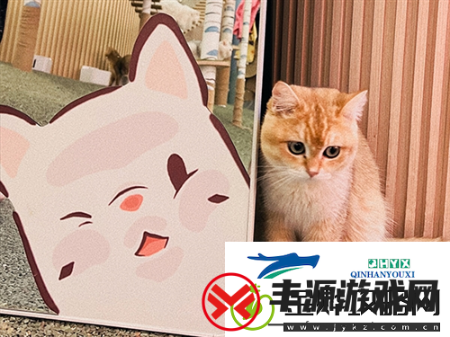 猫咪和汤×宫猫体验馆