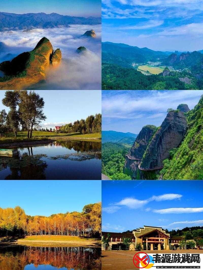 屄屄屄:探索其独特魅力