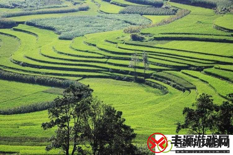公交车上的诗请晴:一段特别的旅途故事