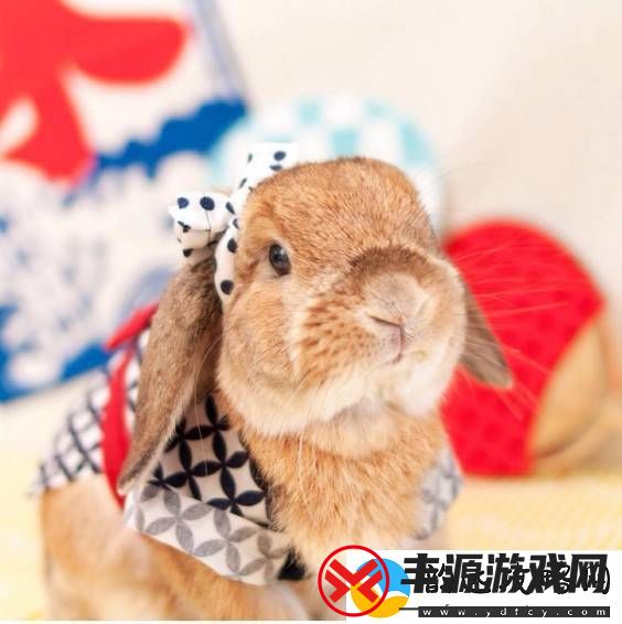 探秘:两只兔子在衣服里晃来晃去的有趣故事