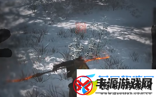 黑神话悟空不能介绍