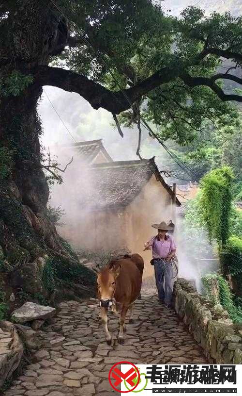乡村风流:展现乡村别样风情与魅力