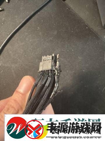 全球首例