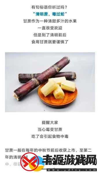 清明蔗毒过蛇-警惕甜蜜背后的危险