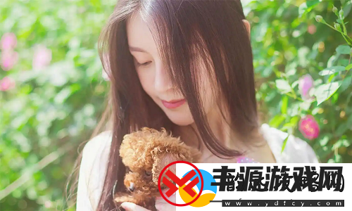 成品动漫站入口页版怎样打开-全攻略分享-轻松追番无烦恼!