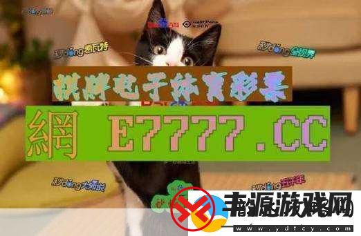 成品站1688免费
