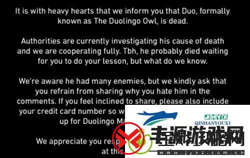 多邻国猫头鹰去世上热搜