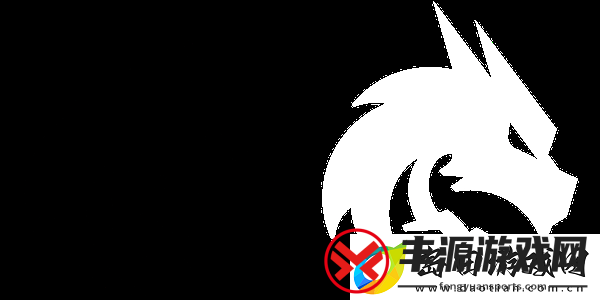 NIP成员谈全面重组