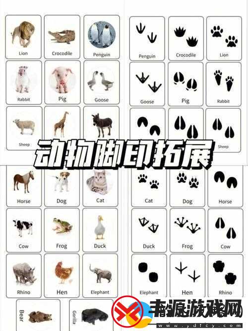 逗趣国冒险之旅:踏遍千山万水-挖掘特色踩脚印玩法秘籍