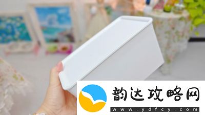 整理收纳盒第31-35关通关攻略分享【详细攻略】