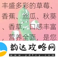 丰盛多彩的草莓、香蕉、丝瓜、秋葵、香草口感丰富营养全面是您健康生活的好伴侣