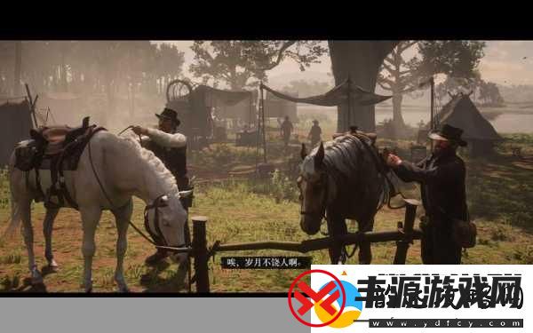 老年镖客:岁月的磨砺与智慧的传承