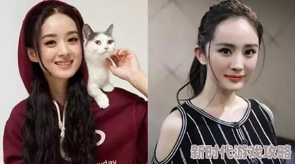 杨幂一区二区三区免费看视频最新进展