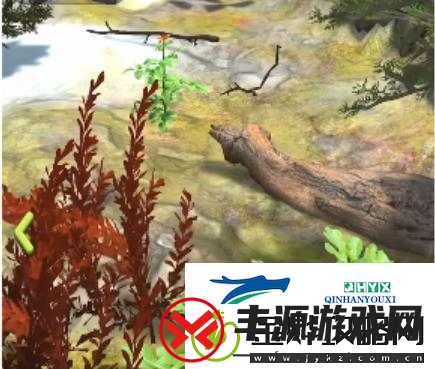 夺笋高手巨型阿魏在哪里