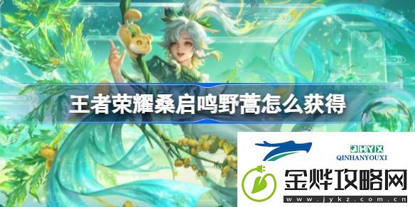 王者荣耀桑启鸣野蒿获取攻略-王者荣耀鸣野蒿怎么获得