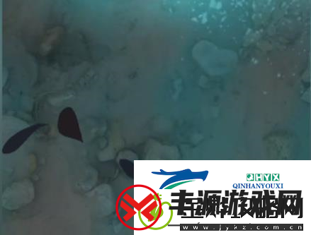 夺笋高手巨型阿魏在哪里:无价之宝位置介绍