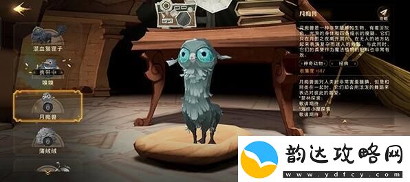 图解！哈利波特魔法觉醒魔法灯谜会答案是什么
