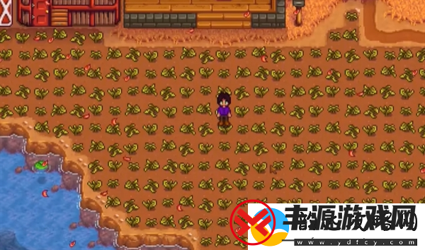 【限时兑换】星露谷物语春天怎么保地