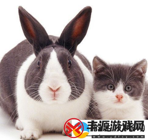 探究青少年心理变化